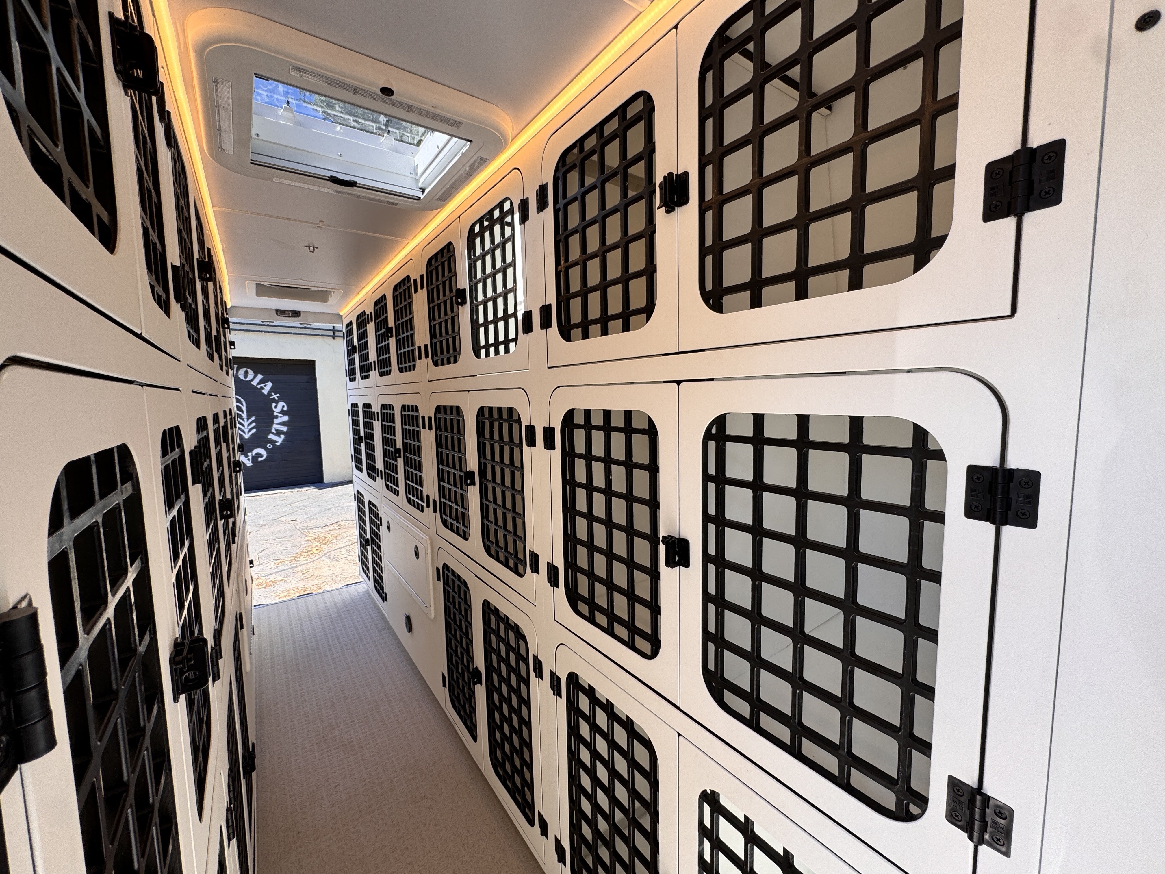 K9 transport Sprinter — kennel aisle with skylight and LED ceiling lighting