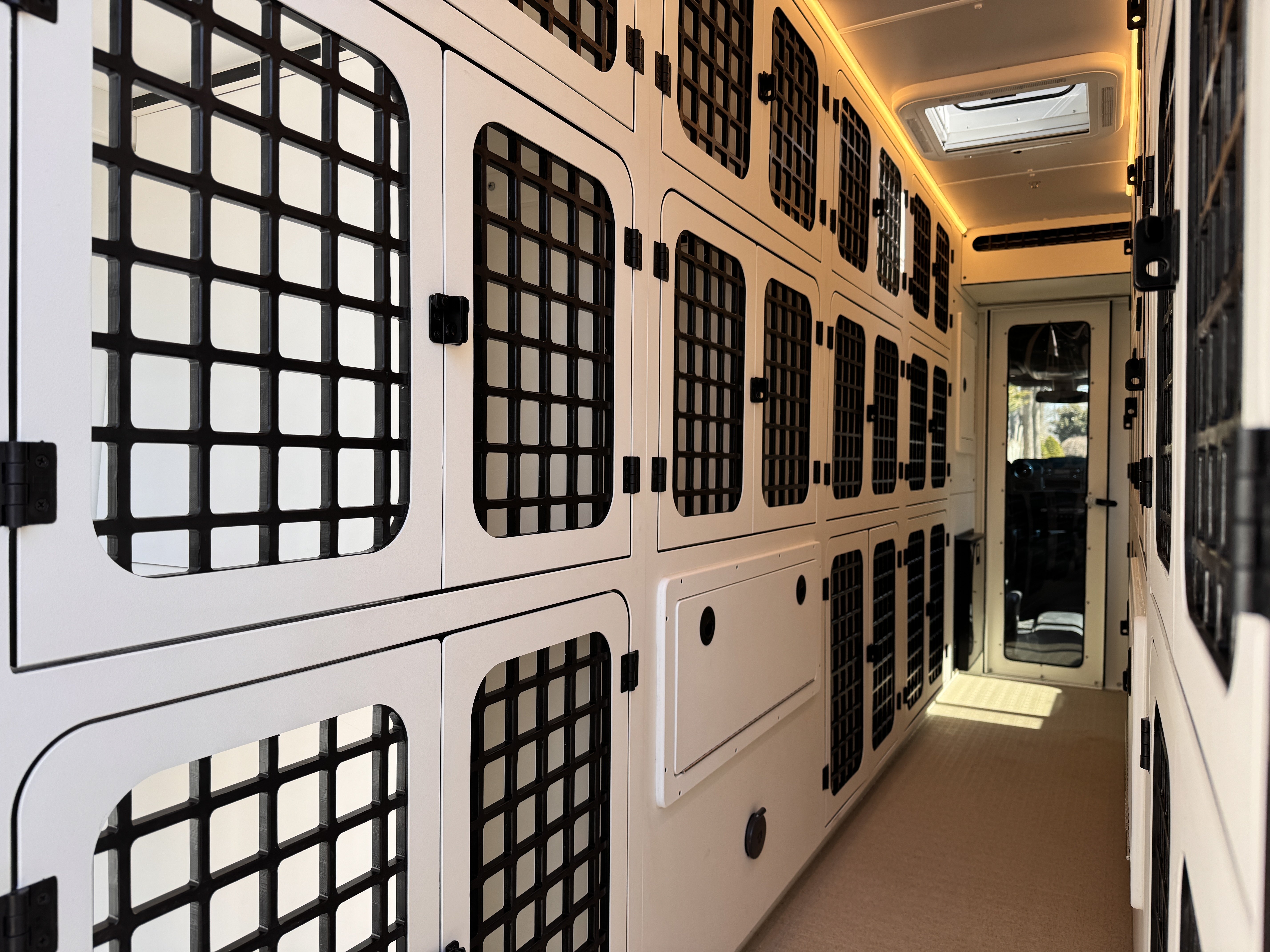 Multi-kennel Sprinter build — kennel aisle interior